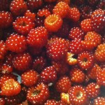 Wild Raspberries