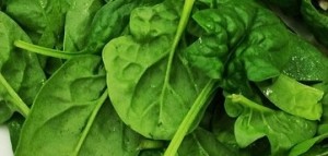 Eat Fit Health Spinach 1