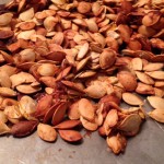 Roasted pumpkin seeds