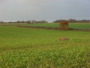 Farm Land